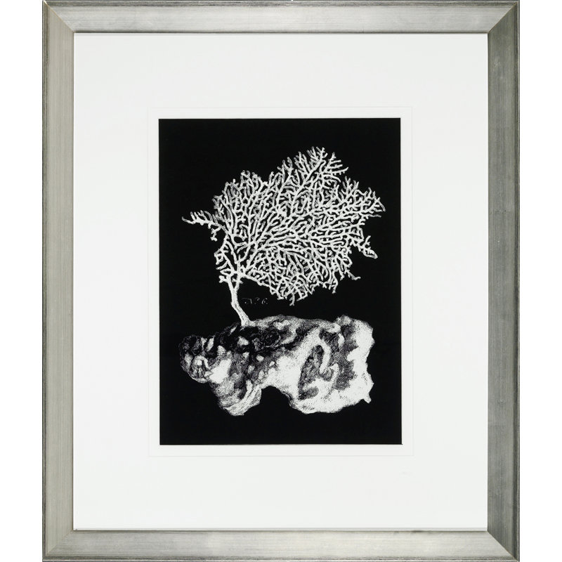 «Black and White Coral III» - Impression sur cadre photo
