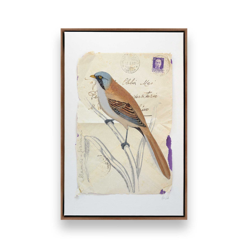 Reproduction d'art «Beardy Tit» par Deborah Revell, H 16 po x l 12 po, Cadre flottant, Brun