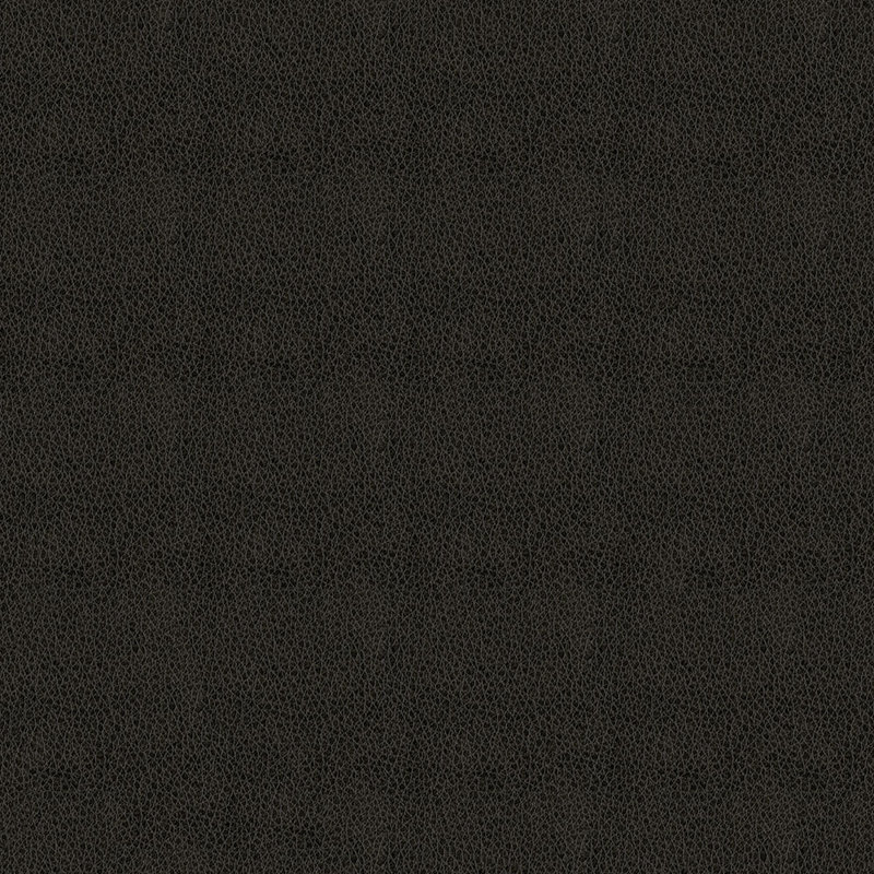 Tissu Baldwin, Anthracite