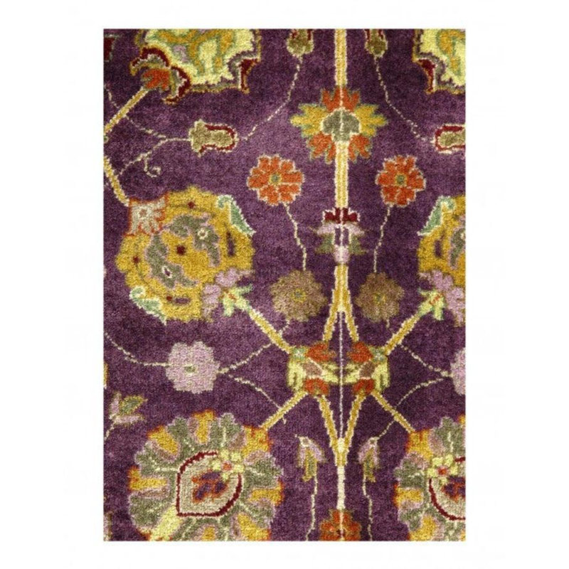 Oriental Area Rug in Ivory