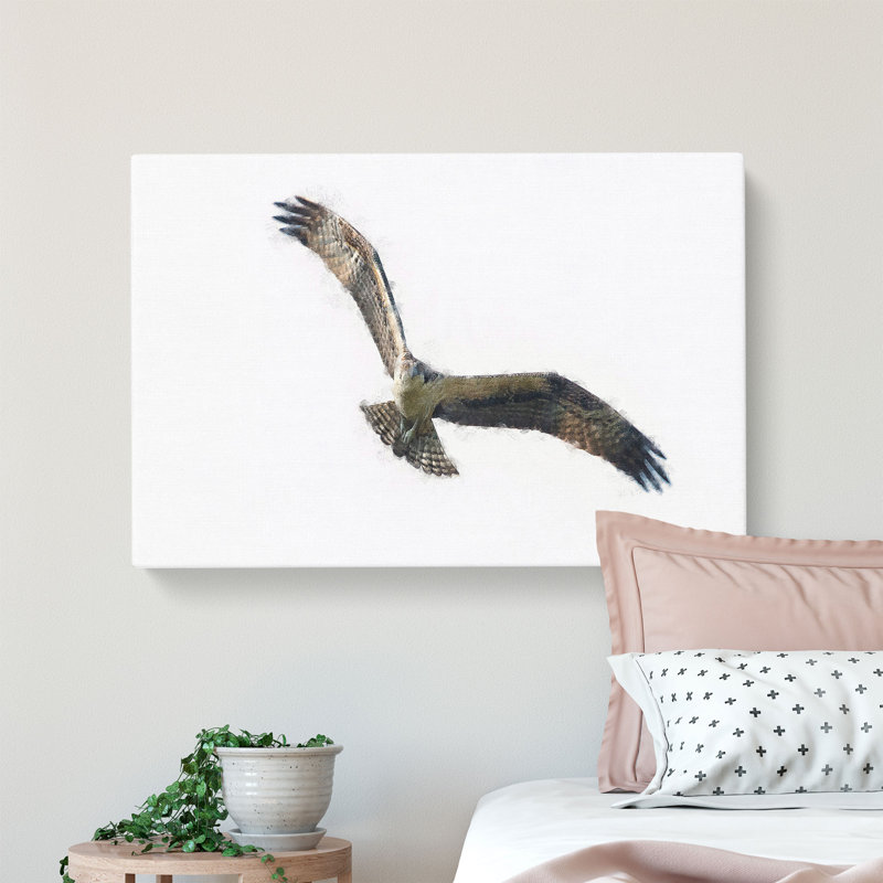 Osprey Bird - Wrapped Canvas, 60cm H x 91cm W x 3cm D