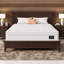 Grand matelas hybride 14 po - Mousse à mémoire de forme et ressorts ensachés pour soulager la pression, sommeil frais sans fibre de verre, livré dans une boîte-1013714943-1013714930