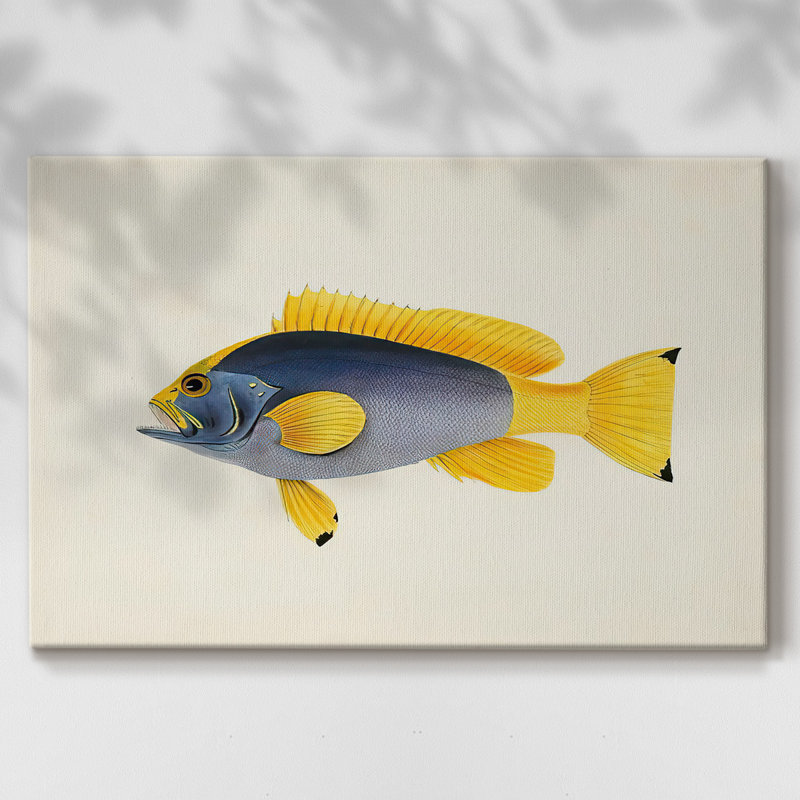 Toile tendue avec collection de poissons tropicaux, H 8 po x l 12 po