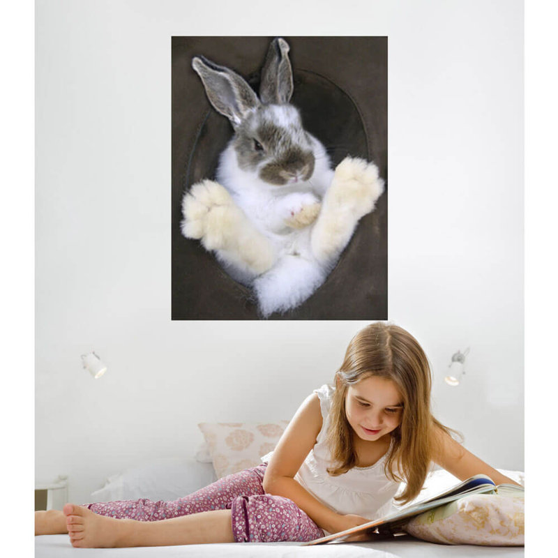 Lapin dans un chapeau - affiche brillante, H 48 po x l 36,5 po x P 0,1 po