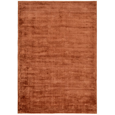 Shine Viscose Hand Woven Area Rug