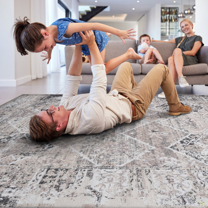 5X7  / Traditional Area Rug Stain Resistant, Non-Shedding, Friendly For Living Room, Bedroom, Dining Room And High-Traffic Areas