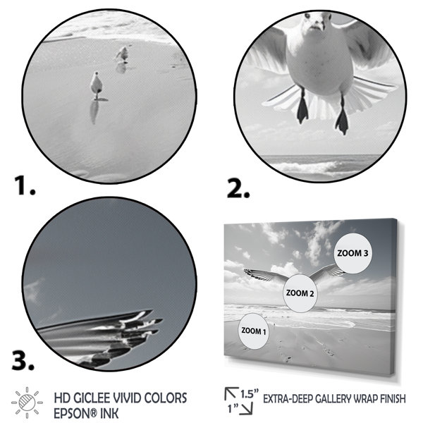 Highland Dunes Grey Beach Seagulls In Flight I - Animals Wall Decor Set ...
