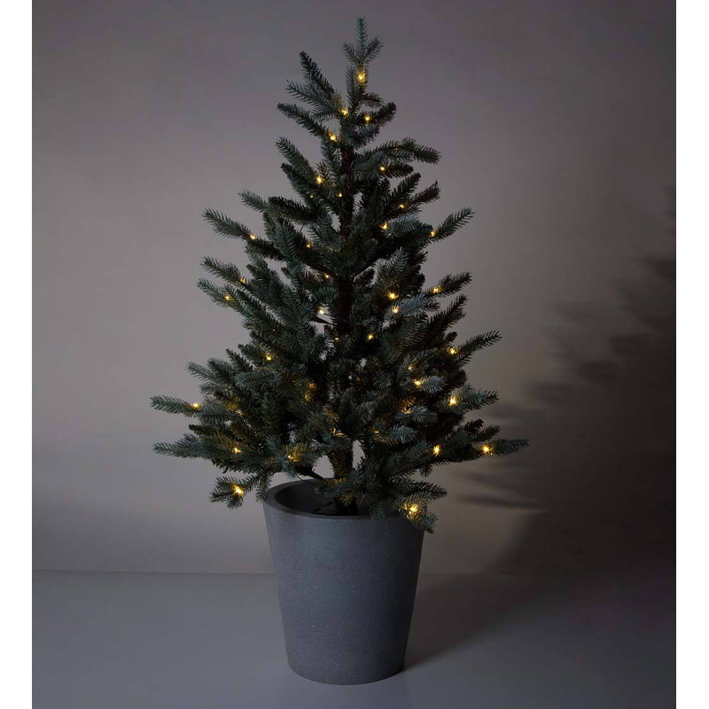 Mini sapin de Noël d'intérieur / extérieur en pot Misty