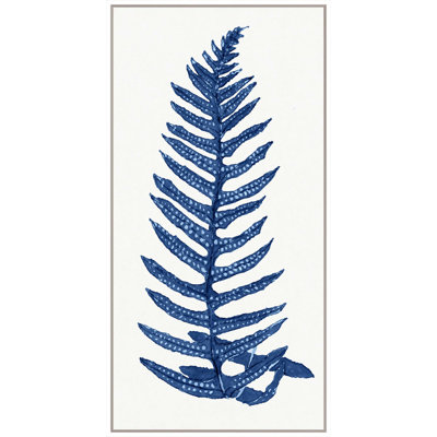 Blue Fern 2 Print