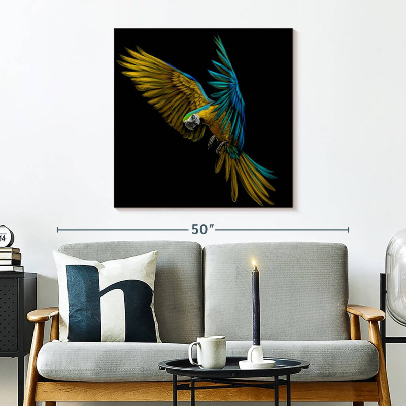 Crowle Wild Macaw, 30" H x 30" W