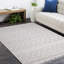 Geometric Area Rug in Gray/White-1716089133