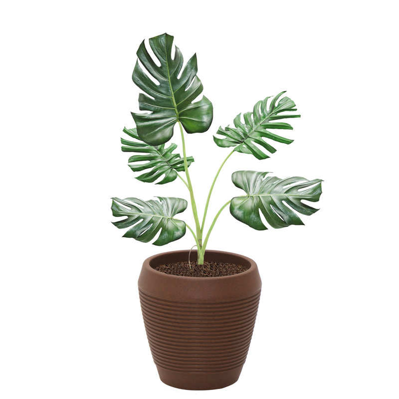 Pot Planter, Terracotta