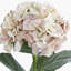 Hydrangea Arrangement-520357638