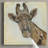 " Patterned Giraffe " Print-30375678