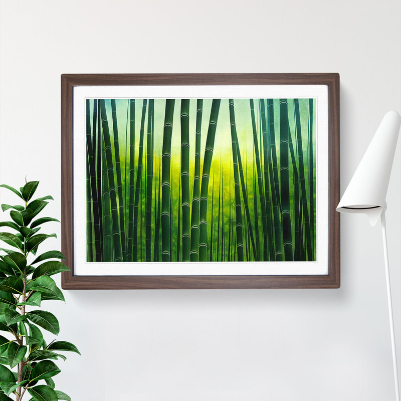 Cute Bamboo Forest - Framed Print, 46cm H x 64cm W x 2cm D, Walnut