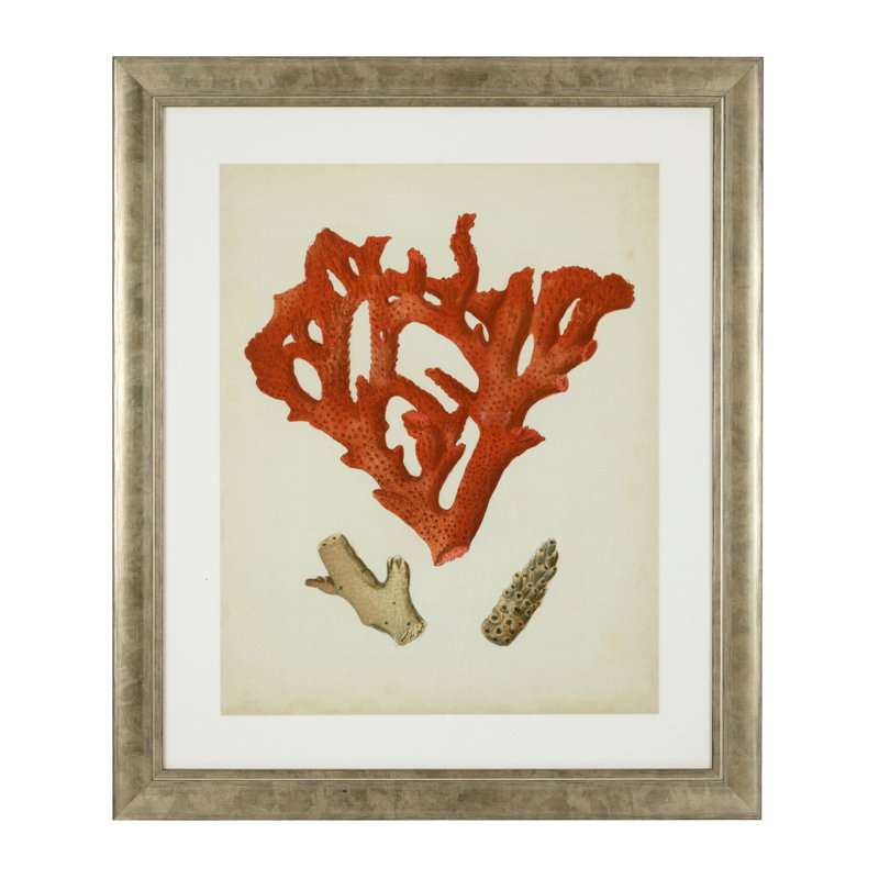 Antique Corals Print