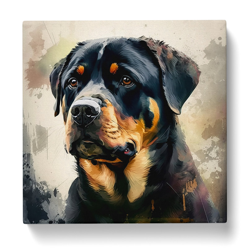 Rottweiler Gestural Art - Wrapped Canvas - Framed Print, 35cm H x 35cm W x 3cm D