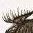 Moose plume sepia - 32"x32" art on canvas