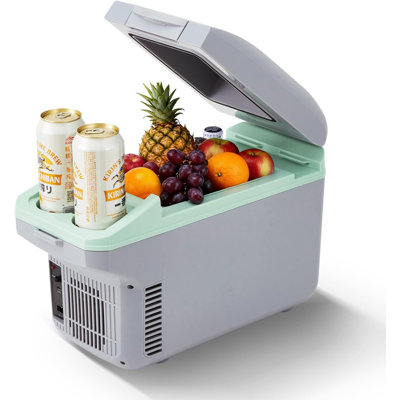 8L Electric Cooler & Warmer, Portable Car Refrigerator with Auto-Lock Handle
