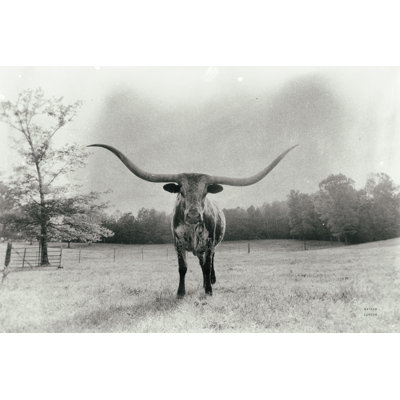 Longhorn Backlit Aged by Nathan Larson