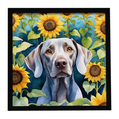 Weimaraner in Sunflowers Framed Metal Print