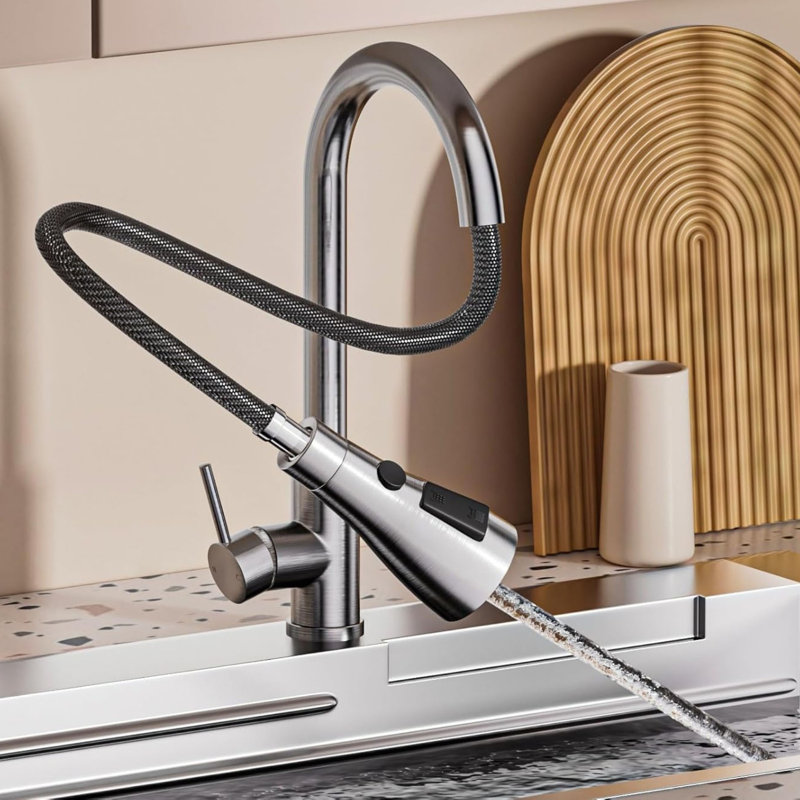 Brayden Studio Pull Out Kitchen Faucet