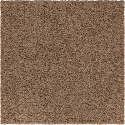 Rodolphe Performance Indoor Rug
