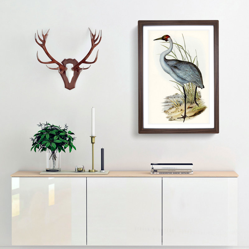 Australian Crane by Elizabeth Gould - Single Picture Frame Painting, Walnut Framed, 45cm H x 33cm W x 2cm D