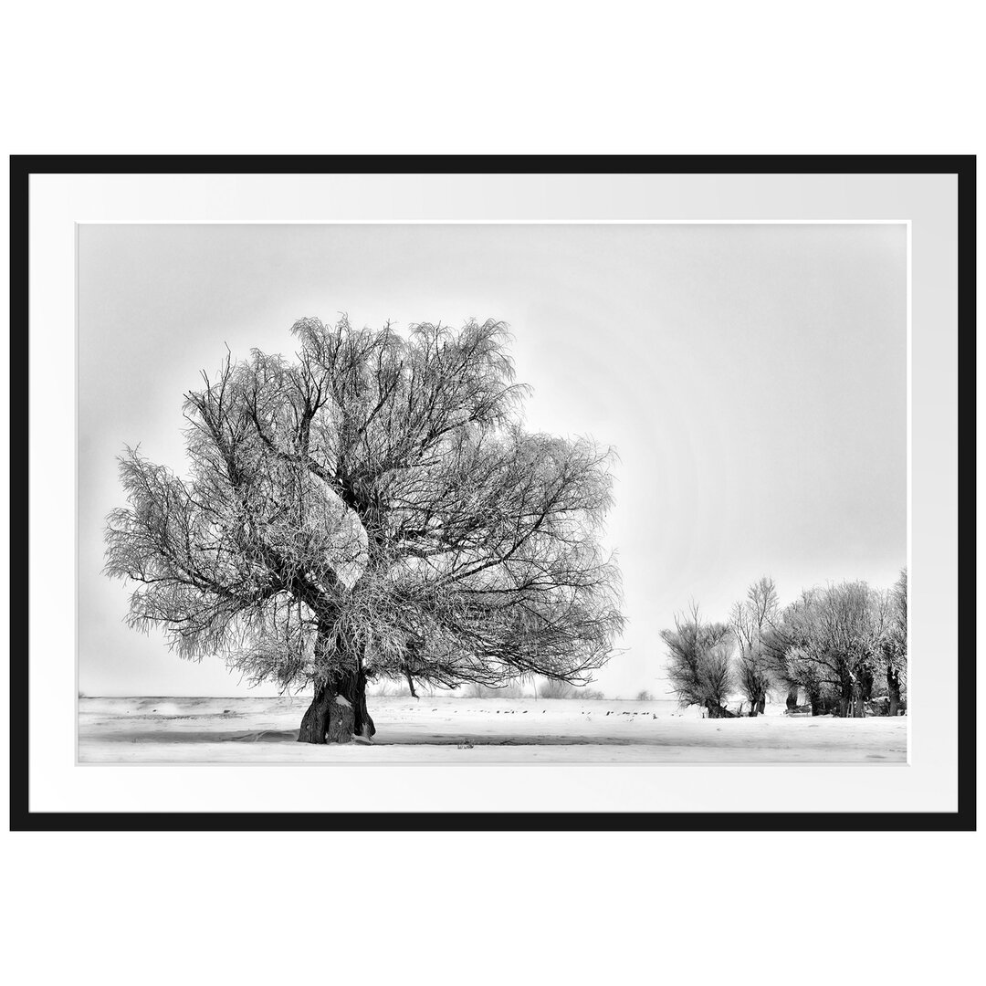 Gerahmtes Poster Bäume im Schnee Nebel