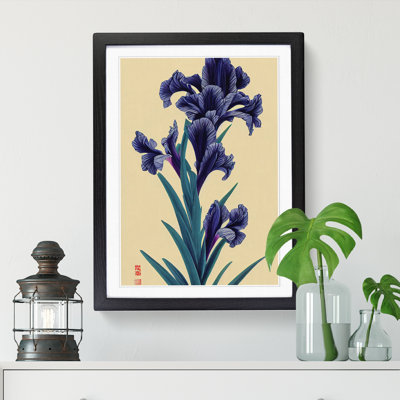 Parrella Iris Flower Japanese - Picture Frame Print