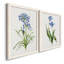 «Blue Lived Botanical I», ensemble de 2 peintures sur toile encadrées-1547894089-1547894199