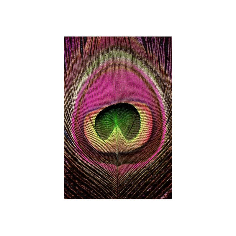 Magenta Feather I Print by Mari Urasawa, 45" H x 30" W x 1.5" D, Glass Coat