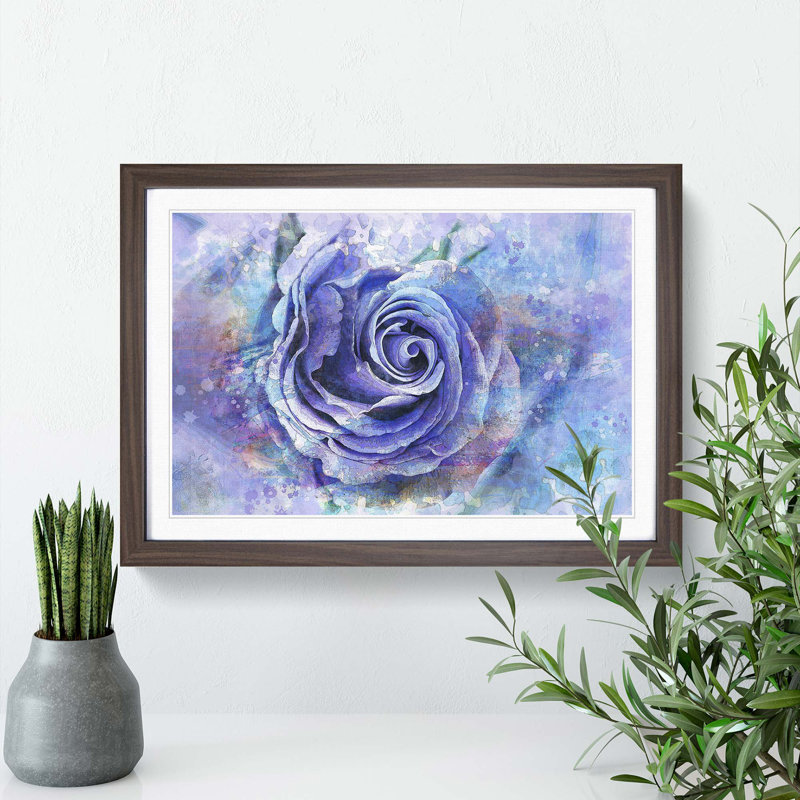 Lilac Rose in Watercolour in Abstract - Picture Frame Painting Print, Walnut Framed, 36cm H x 48cm W x 2cm D