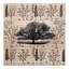 Tapis Botkins-1327851989