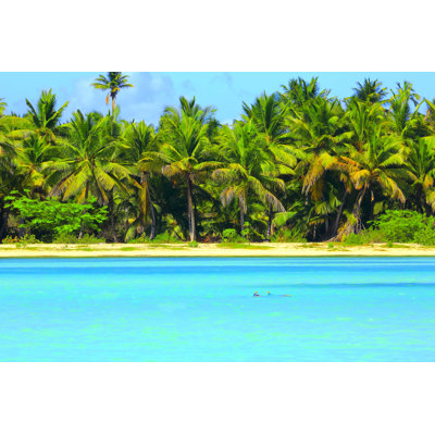 Tropical Paradise - Wrapped Canvas Print
