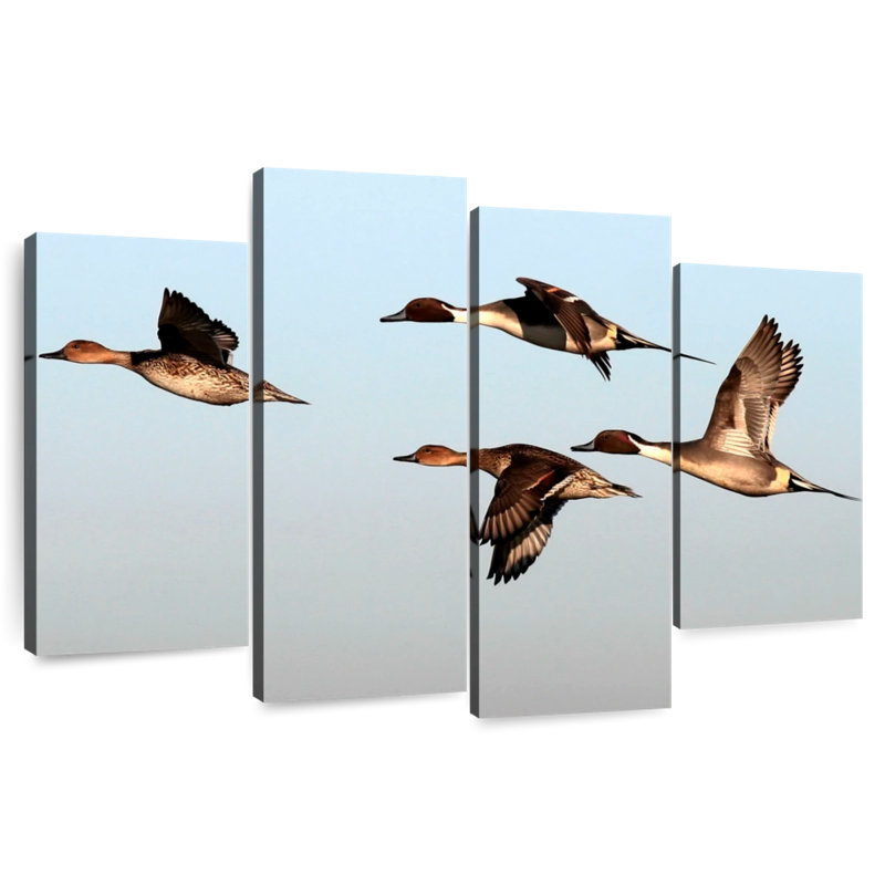 Brampt Pintail Ducks, 32" H x 52" W