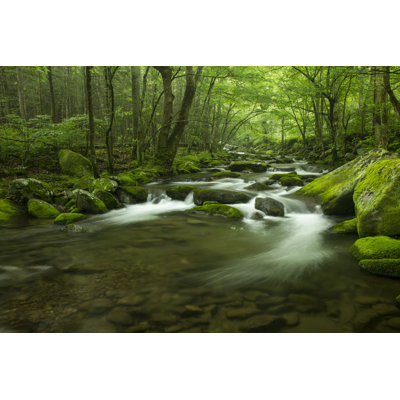 " Mountain Stream After Rain " by Rogertrentham