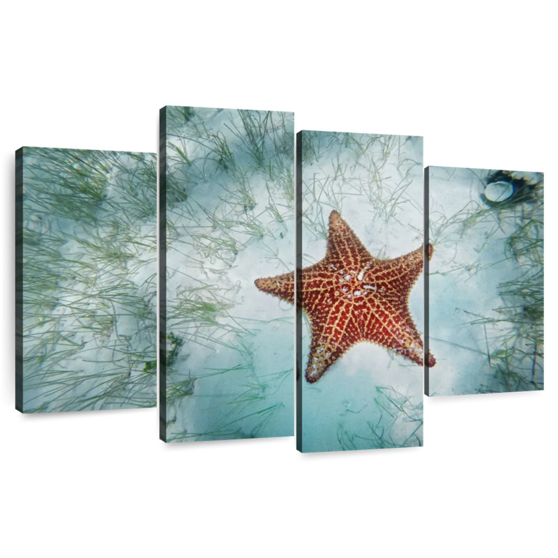 Shallows Starfish, 27" H x 43" W