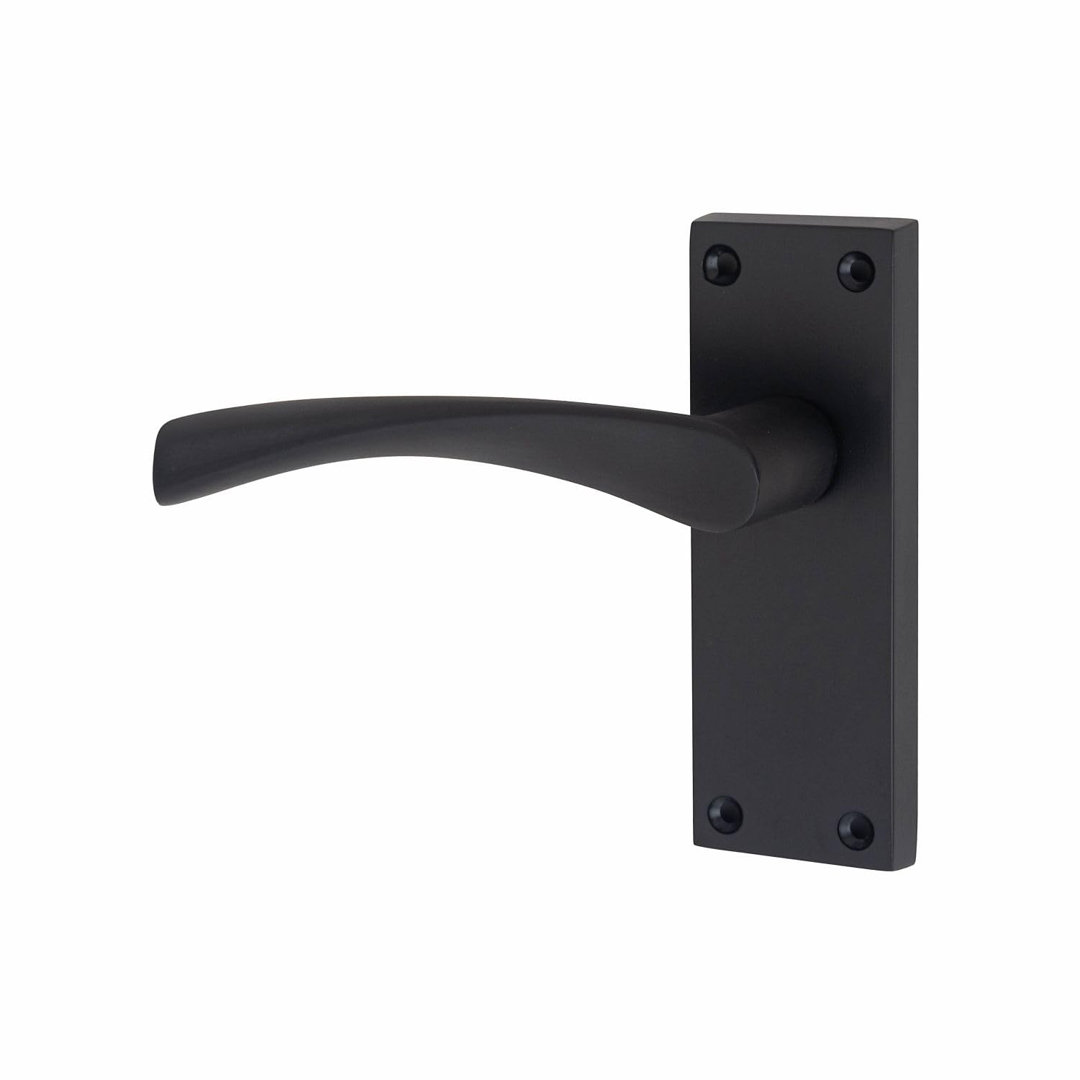 Latch Handle with Backplate
