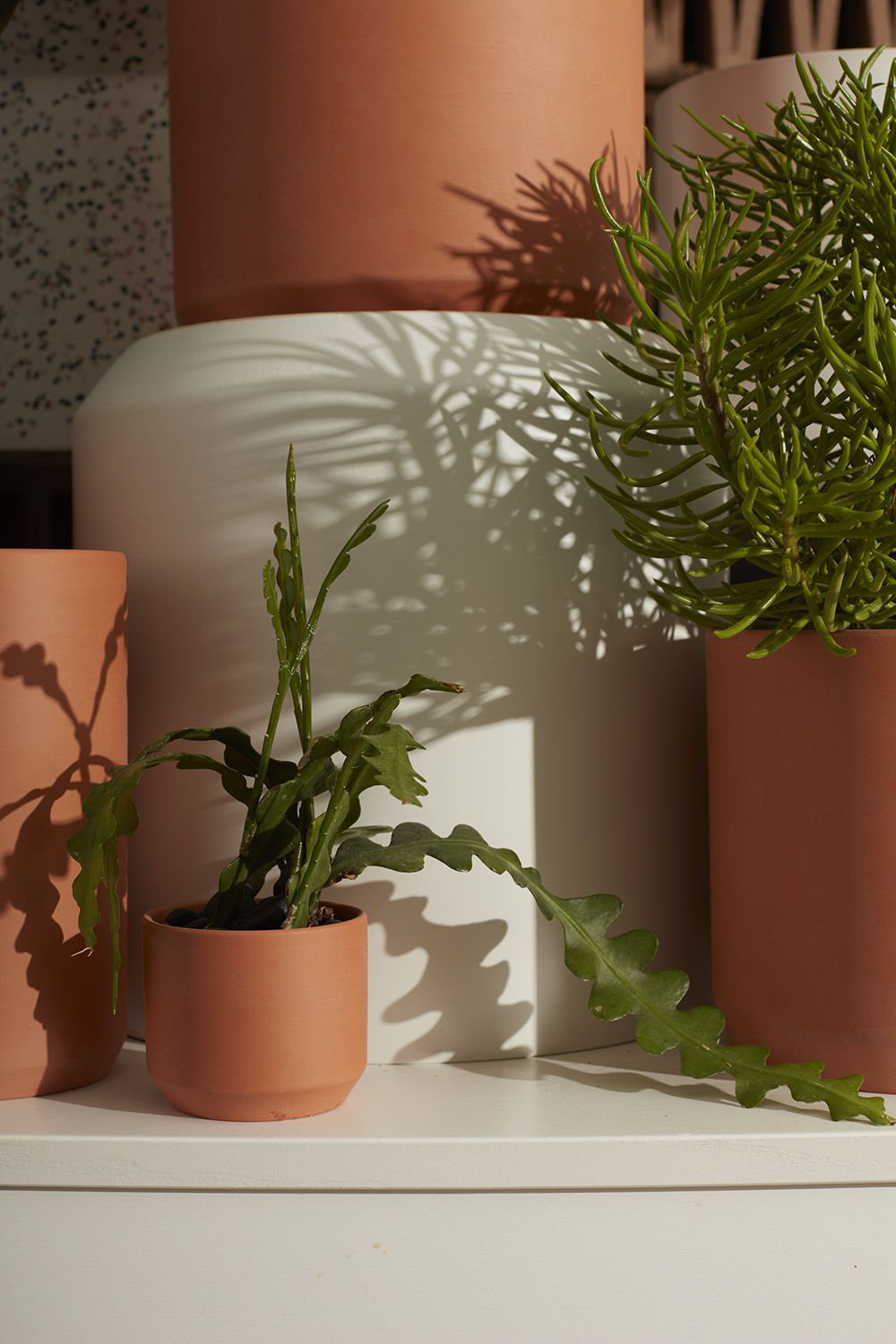 Ceramic Pot Planter