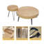 Ensemble de tables basses 2 pièces Jamatter