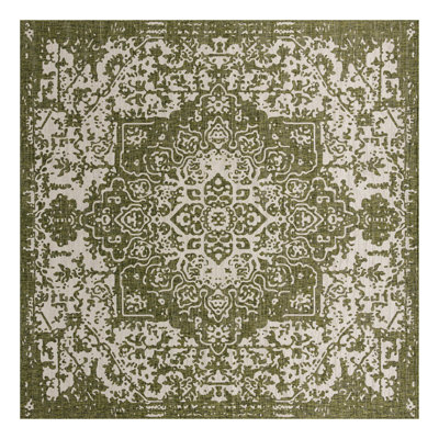 Oriental Indoor / Outdoor Area Rug