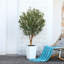 Adcock Artificial Olive Tree with Decorative Pot, UV Resistant Faux Olive Tree with Natural Trunk-556367956-556367954