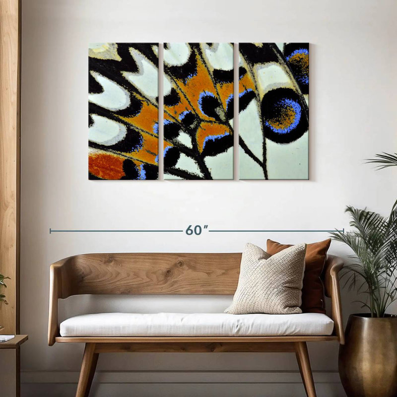 Butterfly Wing Close Up, 28" H x 45" W