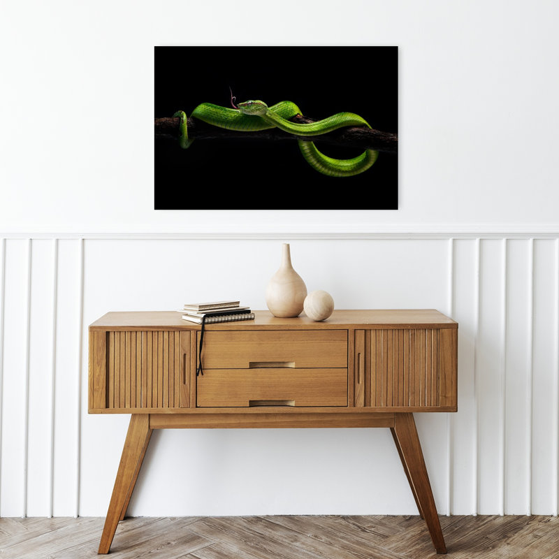 Striking Green Viper Snake Tropical Wall Art Print 1 Piece Wrapped Canvas Wall Art, 40.64cm H x 60.96cm W