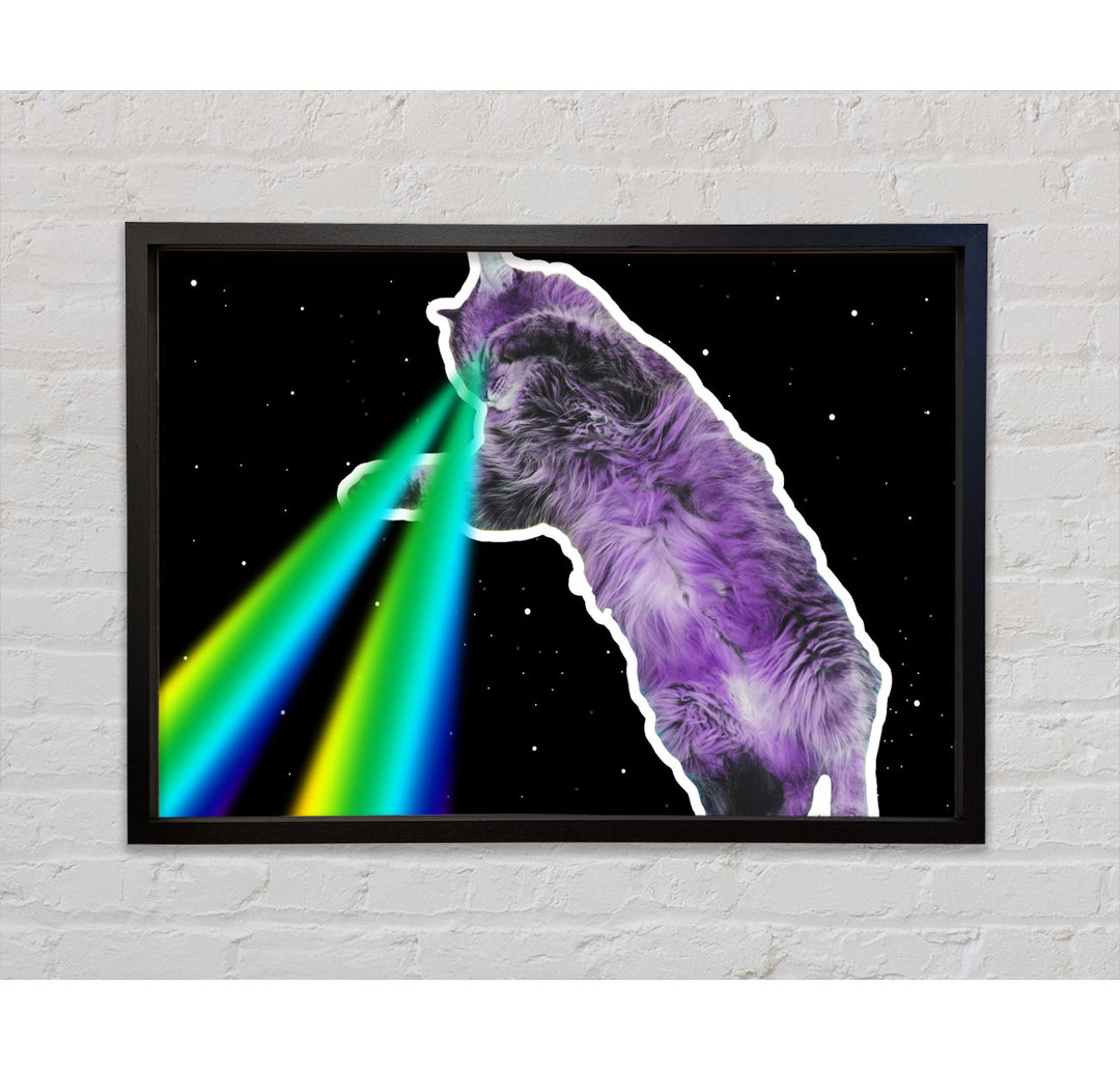 Katze Lazer Beam Space - Druck