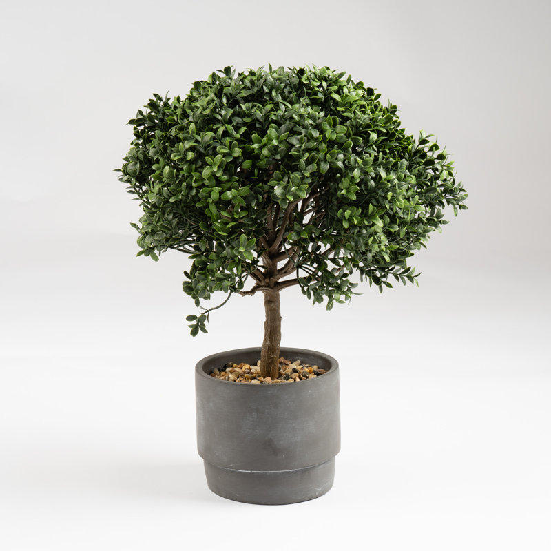 45cm Faux Mini Topiary Plant in Cement Pot