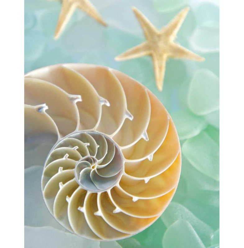 «Dovecove Blaustein, Alan», reproduction d'art sur toile tendue sous le titre: Verre de mer 2, H 45 po x l 36 po