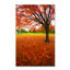 «expressions, reproduction de photo sur toile tendue Halke-12628487