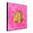Rose est en rupture de stock